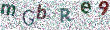 Beeld-CAPTCHA