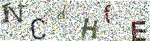 Beeld-CAPTCHA
