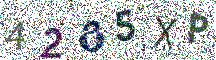 Beeld-CAPTCHA