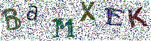 Beeld-CAPTCHA