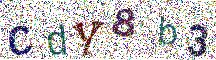 Beeld-CAPTCHA
