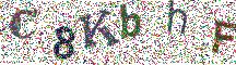 Beeld-CAPTCHA