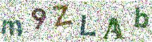 Beeld-CAPTCHA