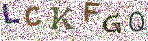 Beeld-CAPTCHA