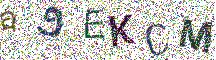 Beeld-CAPTCHA