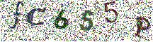 Beeld-CAPTCHA