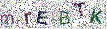 Beeld-CAPTCHA