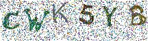 Beeld-CAPTCHA