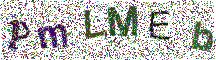 Beeld-CAPTCHA