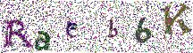 Beeld-CAPTCHA