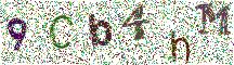 Beeld-CAPTCHA