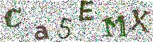 Beeld-CAPTCHA