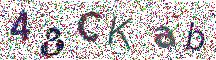 Beeld-CAPTCHA