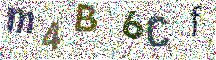 Beeld-CAPTCHA