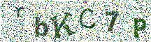 Beeld-CAPTCHA