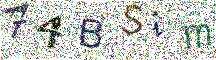Beeld-CAPTCHA