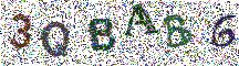 Beeld-CAPTCHA