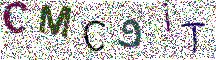 Beeld-CAPTCHA