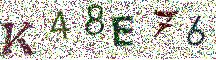 Beeld-CAPTCHA