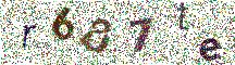 Beeld-CAPTCHA
