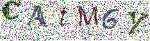 Beeld-CAPTCHA