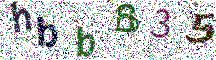 Beeld-CAPTCHA