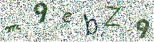 Beeld-CAPTCHA