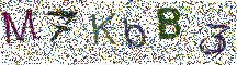 Beeld-CAPTCHA