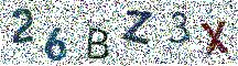 Beeld-CAPTCHA