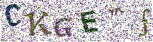 Beeld-CAPTCHA