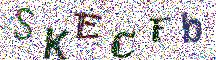Beeld-CAPTCHA
