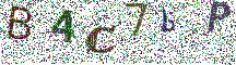 Beeld-CAPTCHA