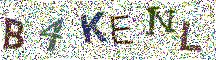 Beeld-CAPTCHA