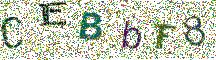 Beeld-CAPTCHA