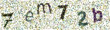 Beeld-CAPTCHA