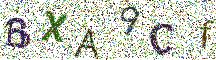 Beeld-CAPTCHA