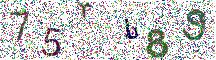 Beeld-CAPTCHA