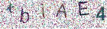 Beeld-CAPTCHA