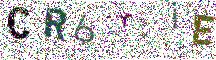 Beeld-CAPTCHA