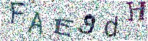 Beeld-CAPTCHA
