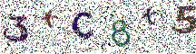 Beeld-CAPTCHA
