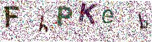 Beeld-CAPTCHA