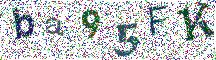 Beeld-CAPTCHA