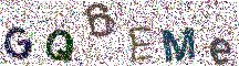 Beeld-CAPTCHA