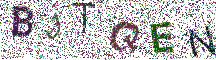 Beeld-CAPTCHA