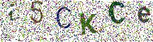 Beeld-CAPTCHA