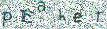 Beeld-CAPTCHA