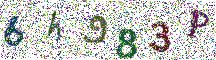 Beeld-CAPTCHA