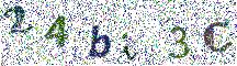 Beeld-CAPTCHA