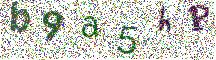 Beeld-CAPTCHA
